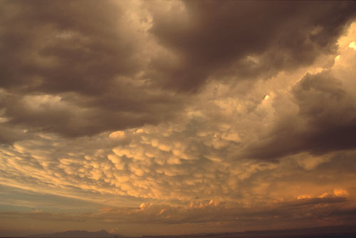 Navajo land,  Arizona